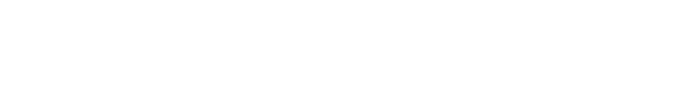 BIZONSULT